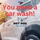 Wet Dog Car Wash Prices | My Caring Dog – Tips, Stories, and Care Guides for Loving Pet Owners