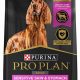 Purina Pro Plan Digestive Care Dog Food | My Caring Dog – Tips, Stories, and Care Guides for Loving Pet Owners
