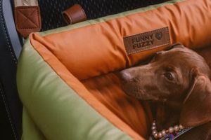 Top Urban Voyager Dog Car Seat for Safe Travels | My Caring Dog – Tips, Stories, and Care Guides for Loving Pet Owners