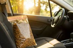 Don't Leave Dog Food in Hot Cars: Risks & Safety My Caring Dog – Tips, Stories, and Care Guides for Loving Pet Owners Don't Leave Dog Food in Hot Cars: Risks & Safety | My Caring Dog – Tips, Stories, and Care Guides for Loving Pet Owners