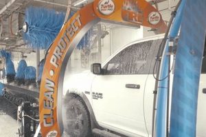 The Truth About Dogs and Car Washes: A Guide | My Caring Dog – Tips, Stories, and Care Guides for Loving Pet Owners