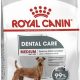 Best Royal Canin Dental Care Small Dog Food Guide | My Caring Dog – Tips, Stories, and Care Guides for Loving Pet Owners