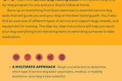 Service Dog Training Guide | My Caring Dog – Tips, Stories, and Care Guides for Loving Pet Owners