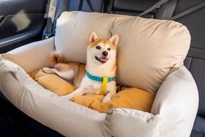 Large Dog Bed Car | My Caring Dog – Tips, Stories, and Care Guides for Loving Pet Owners
