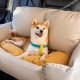 Large Dog Bed Car | My Caring Dog – Tips, Stories, and Care Guides for Loving Pet Owners