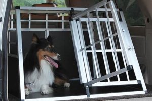 Best Dog Car Cage: Safe & Secure Travel Crates | My Caring Dog – Tips, Stories, and Care Guides for Loving Pet Owners