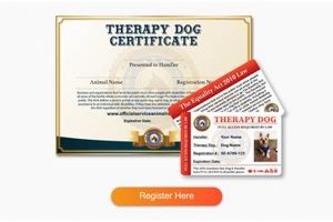 Best Therapy Dog Certification: Your Guide | My Caring Dog – Tips, Stories, and Care Guides for Loving Pet Owners