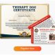 Best Therapy Dog Certification: Your Guide | My Caring Dog – Tips, Stories, and Care Guides for Loving Pet Owners