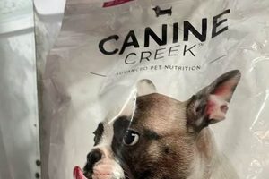 Ultimate Guide to Canine Car Travel | My Caring Dog – Tips, Stories, and Care Guides for Loving Pet Owners