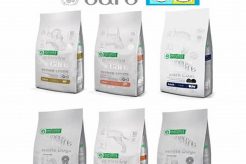 Best Superior Care Dog Food Reviews & Ratings | My Caring Dog – Tips, Stories, and Care Guides for Loving Pet Owners