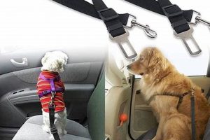 Best Dog Car Seat Belt Attachments & Harnesses | My Caring Dog – Tips, Stories, and Care Guides for Loving Pet Owners