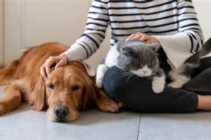 Top Care.com Dog Sitters: Find The Best | My Caring Dog – Tips, Stories, and Care Guides for Loving Pet Owners