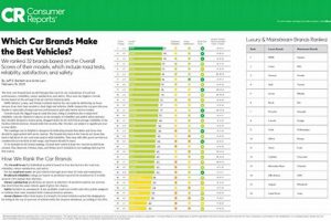 Best Dog Car Harnesses: Consumer Reports & Ratings | My Caring Dog – Tips, Stories, and Care Guides for Loving Pet Owners