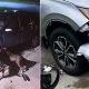 Man's Car Attacked by Dogs After Incident | My Caring Dog – Tips, Stories, and Care Guides for Loving Pet Owners