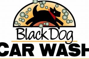 Black Dog Car Wash Londonderry Nh | My Caring Dog – Tips, Stories, and Care Guides for Loving Pet Owners