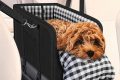 Best Dog Car Console Seats: Safe & Comfy | My Caring Dog – Tips, Stories, and Care Guides for Loving Pet Owners