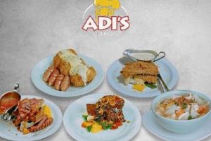 Adi's Car Dog Accessories &amp; Gear | My Caring Dog – Tips, Stories, and Care Guides for Loving Pet Owners