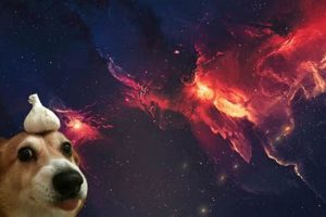 Garlic And Dog Food In Car Engine Meaning | My Caring Dog – Tips, Stories, and Care Guides for Loving Pet Owners