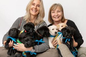 Dog-Friendly Santa Rosa: Canine Companions | My Caring Dog – Tips, Stories, and Care Guides for Loving Pet Owners