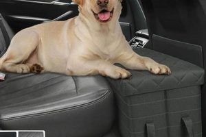 Best Car Front Seat Extenders For Dogs: Guide | My Caring Dog – Tips, Stories, and Care Guides for Loving Pet Owners