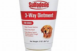 Sulfodene Dog Wound Care Ointment | My Caring Dog – Tips, Stories, and Care Guides for Loving Pet Owners