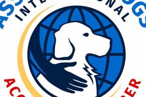 Best Service Dog Organizations & Training | My Caring Dog – Tips, Stories, and Care Guides for Loving Pet Owners