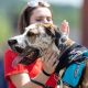 Top Service Animal Trainers Near Me: Local Experts | My Caring Dog – Tips, Stories, and Care Guides for Loving Pet Owners