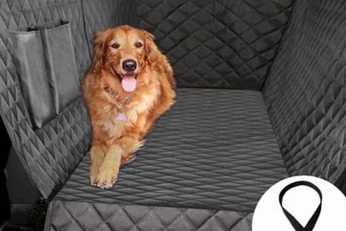 Best Waterproof Dog Car Seat Covers for Pet Owners | My Caring Dog – Tips, Stories, and Care Guides for Loving Pet Owners