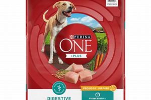 Best Purina Digestive Care Dog Food Guide My Caring Dog – Tips, Stories, and Care Guides for Loving Pet Owners Best Purina Digestive Care Dog Food Guide | My Caring Dog – Tips, Stories, and Care Guides for Loving Pet Owners