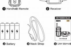 Best Dog Training Collar Manual PDF Guide My Caring Dog – Tips, Stories, and Care Guides for Loving Pet Owners Best Dog Training Collar Manual PDF Guide | My Caring Dog – Tips, Stories, and Care Guides for Loving Pet Owners