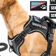 Best Service Dog Inc: Training & Support | My Caring Dog – Tips, Stories, and Care Guides for Loving Pet Owners