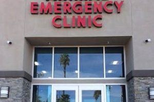 Top Dog Day Care in Moreno Valley, CA My Caring Dog – Tips, Stories, and Care Guides for Loving Pet Owners Top Dog Day Care in Moreno Valley, CA | My Caring Dog – Tips, Stories, and Care Guides for Loving Pet Owners