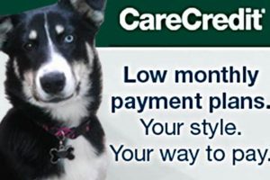 Care Credit For Dogs My Caring Dog – Tips, Stories, and Care Guides for Loving Pet Owners Care Credit For Dogs | My Caring Dog – Tips, Stories, and Care Guides for Loving Pet Owners