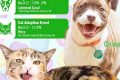 Best Independent Animal Rescues in Durham, NC My Caring Dog – Tips, Stories, and Care Guides for Loving Pet Owners Best Independent Animal Rescues in Durham, NC | My Caring Dog – Tips, Stories, and Care Guides for Loving Pet Owners