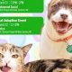 Best Independent Animal Rescues in Durham, NC | My Caring Dog – Tips, Stories, and Care Guides for Loving Pet Owners