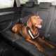 Best Audi Dog Car Seats: Safe & Secure | My Caring Dog – Tips, Stories, and Care Guides for Loving Pet Owners