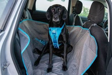 Best Dog Car Hammock for Bucket Seats & SUVs My Caring Dog – Tips, Stories, and Care Guides for Loving Pet Owners Best Dog Car Hammock for Bucket Seats & SUVs | My Caring Dog – Tips, Stories, and Care Guides for Loving Pet Owners