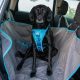 Best Dog Car Hammock for Bucket Seats &amp; SUVs | My Caring Dog – Tips, Stories, and Care Guides for Loving Pet Owners