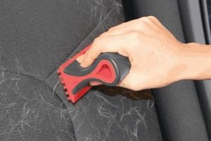 Best Car Dog Hair Removal Service Near You My Caring Dog – Tips, Stories, and Care Guides for Loving Pet Owners Best Car Dog Hair Removal Service Near You | My Caring Dog – Tips, Stories, and Care Guides for Loving Pet Owners