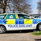 Police Dog Car | My Caring Dog – Tips, Stories, and Care Guides for Loving Pet Owners