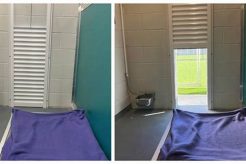 Top Dog Day Care in Hilton Head Island, SC My Caring Dog – Tips, Stories, and Care Guides for Loving Pet Owners Top Dog Day Care in Hilton Head Island, SC | My Caring Dog – Tips, Stories, and Care Guides for Loving Pet Owners