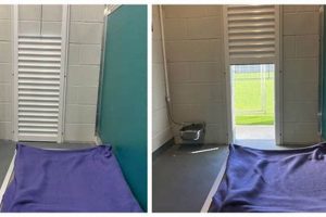 Top Dog Day Care in Hilton Head Island, SC My Caring Dog – Tips, Stories, and Care Guides for Loving Pet Owners Top Dog Day Care in Hilton Head Island, SC | My Caring Dog – Tips, Stories, and Care Guides for Loving Pet Owners