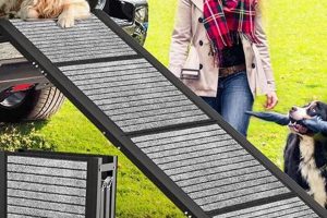 Best Dog Car Ramps: Easy In & Out My Caring Dog – Tips, Stories, and Care Guides for Loving Pet Owners Best Dog Car Ramps: Easy In & Out | My Caring Dog – Tips, Stories, and Care Guides for Loving Pet Owners