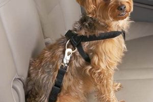 Best Dog Safety Harness for Car Travel My Caring Dog – Tips, Stories, and Care Guides for Loving Pet Owners Best Dog Safety Harness for Car Travel | My Caring Dog – Tips, Stories, and Care Guides for Loving Pet Owners