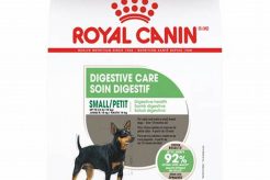 Royal Canin Small Digestive Care Dry Dog Food 17 Lbs My Caring Dog – Tips, Stories, and Care Guides for Loving Pet Owners Royal Canin Small Digestive Care Dry Dog Food 17 Lbs | My Caring Dog – Tips, Stories, and Care Guides for Loving Pet Owners