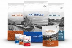 Diamond Care Dog Food Recall: Urgent Alert! | My Caring Dog – Tips, Stories, and Care Guides for Loving Pet Owners