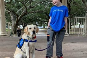 Find Autism Service Dogs Near You | Expert Help My Caring Dog – Tips, Stories, and Care Guides for Loving Pet Owners Find Autism Service Dogs Near You | Expert Help | My Caring Dog – Tips, Stories, and Care Guides for Loving Pet Owners
