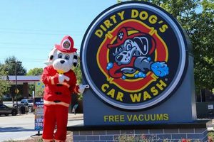 Dirty Dog Car Wash: Prices & Packages | My Caring Dog – Tips, Stories, and Care Guides for Loving Pet Owners