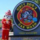 Dirty Dog Car Wash: Prices & Packages | My Caring Dog – Tips, Stories, and Care Guides for Loving Pet Owners