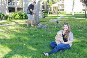 Top Dog Day Care in Redwood City CA: Best Options | My Caring Dog – Tips, Stories, and Care Guides for Loving Pet Owners